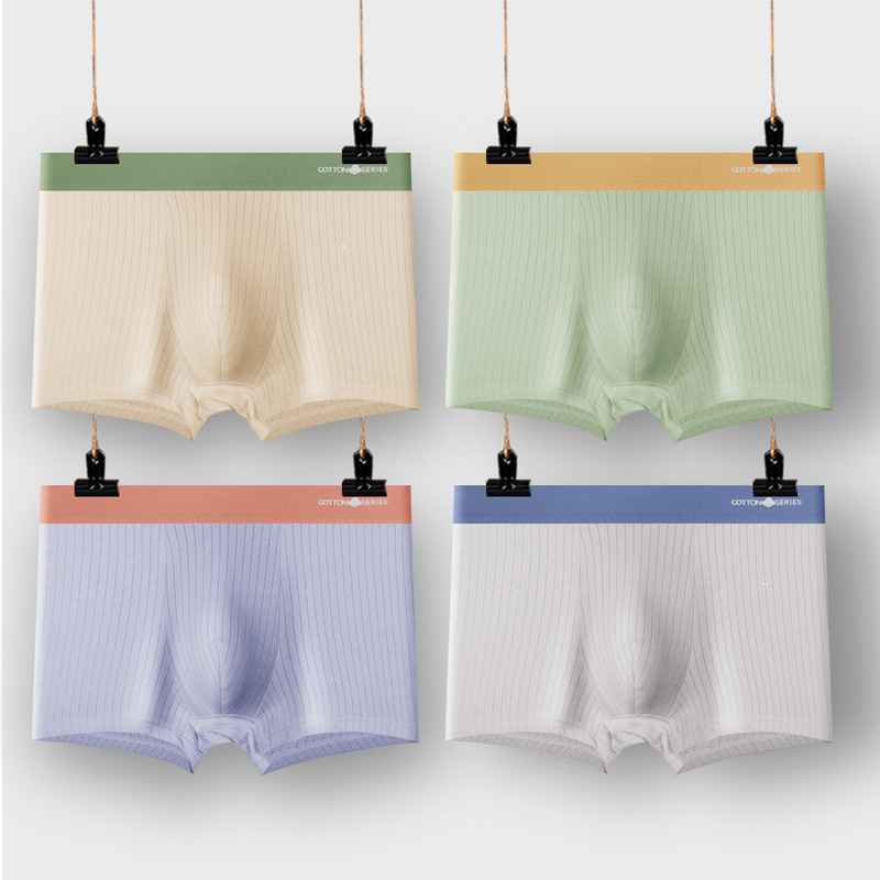 Sous-vêtements en coton pour h - Boxer Brief Pack Cotton avis et prix
